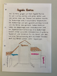 Der neue Sänny